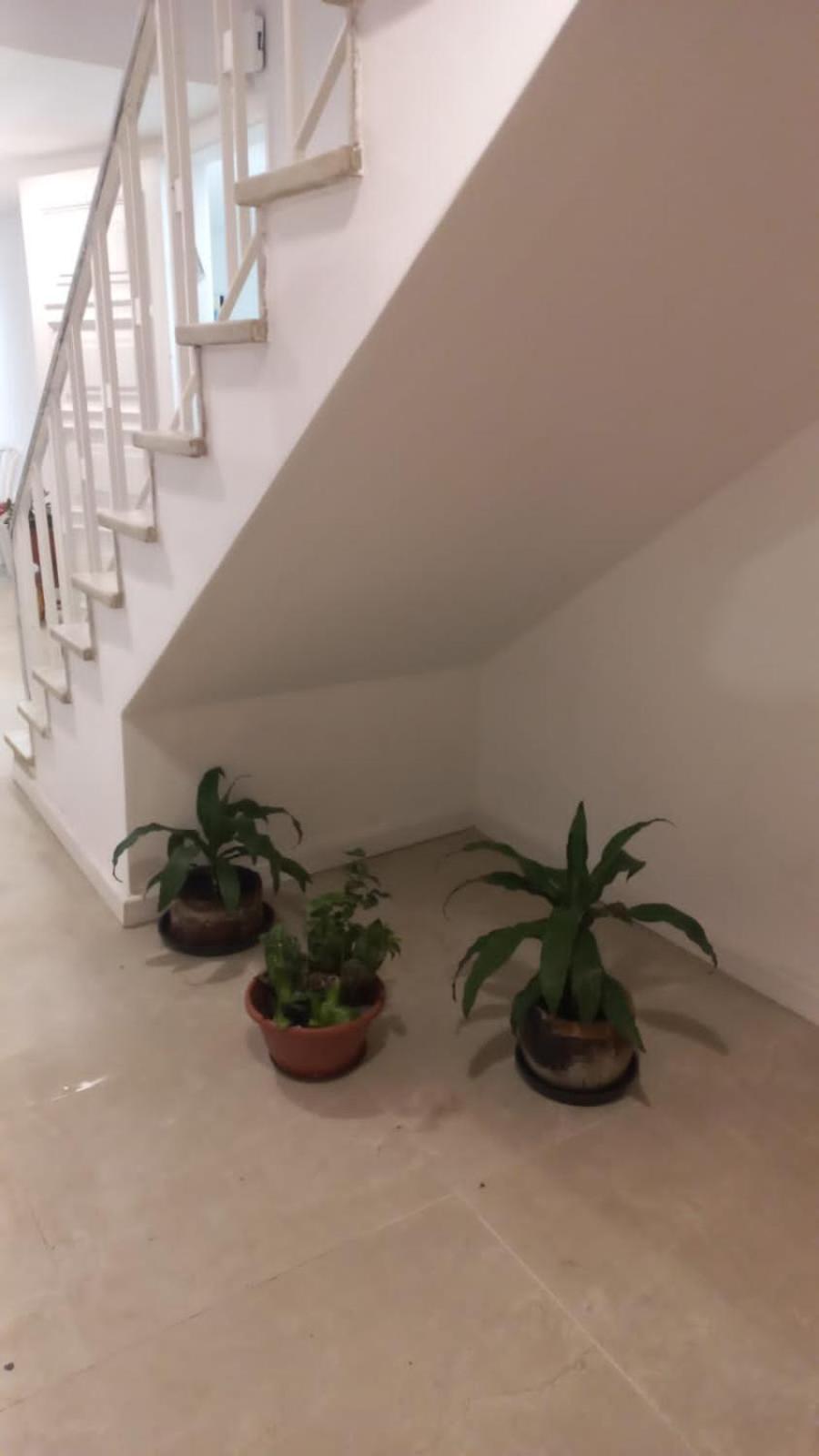 Espaco Semente Poa Lirio 阿雷格里港 外观 照片